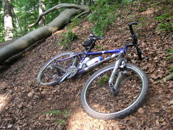 Trainingstour (bei Hartenstein)